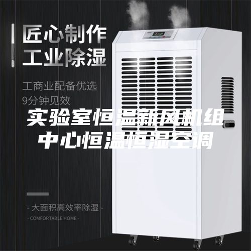 实验室恒温新风机组中心恒温恒湿空调