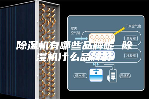 除湿机有哪些品牌呢 除湿机什么品牌好
