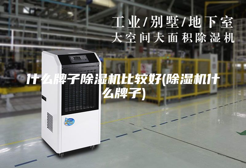 什么牌子除湿机比较好(除湿机什么牌子)