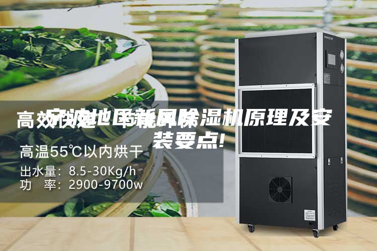 宁波地区新风除湿机原理及安装要点!