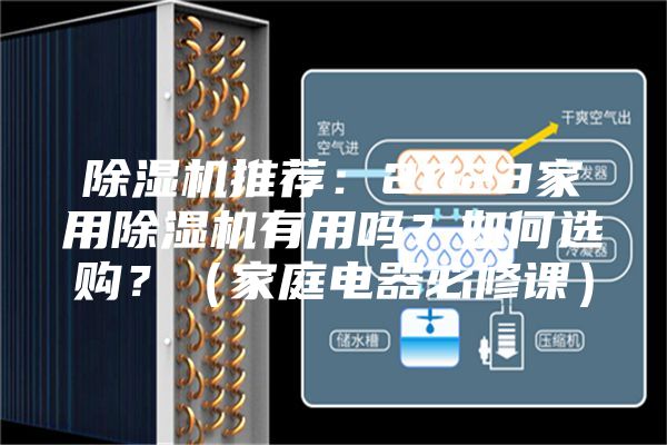 除湿机推荐：2023家用除湿机有用吗？如何选购？（家庭电器必修课）