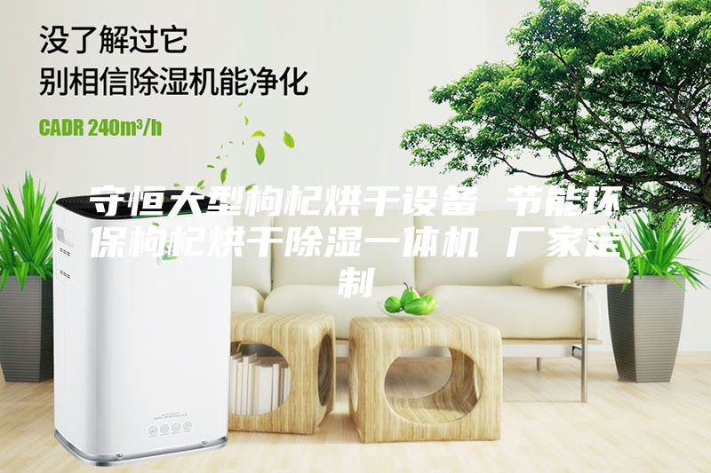 守恒大型枸杞烘干设备 节能环保枸杞烘干除湿一体机 厂家定制