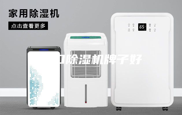 进口除湿机牌子好