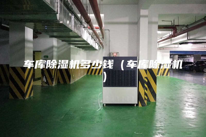 车库除湿机多少钱（车库除湿机）
