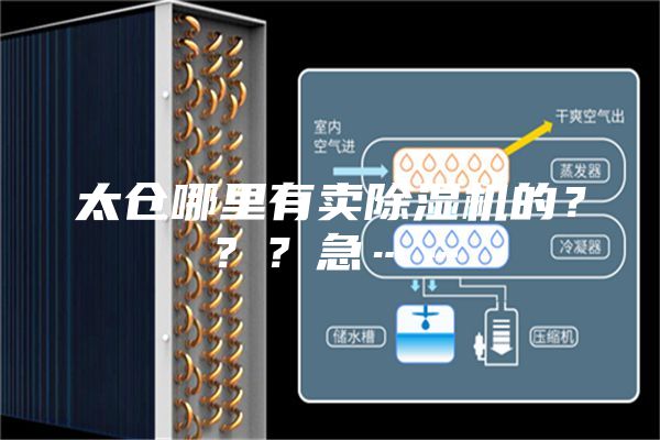 太仓哪里有卖除湿机的？？？急……