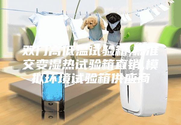 双门高低温试验箱,标准交变湿热试验箱直销,模拟环境试验箱供应商