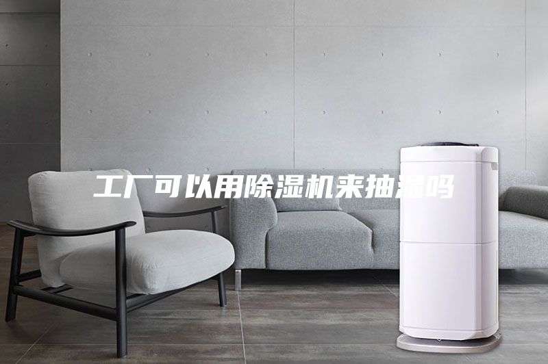 工厂可以用除湿机来抽湿吗