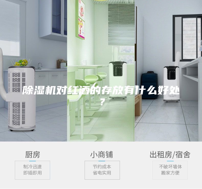 除湿机对红酒的存放有什么好处？