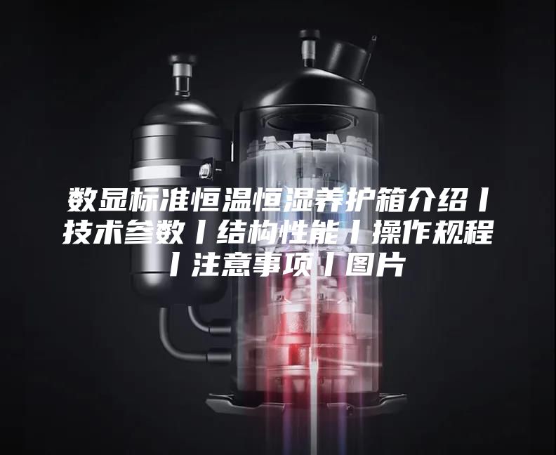 数显标准恒温恒湿养护箱介绍丨技术参数丨结构性能丨操作规程丨注意事项丨图片