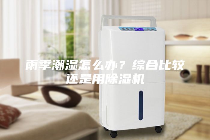 雨季潮湿怎么办？综合比较还是用除湿机