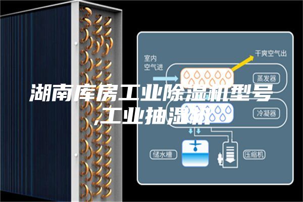 湖南库房工业除湿机型号,工业抽湿机
