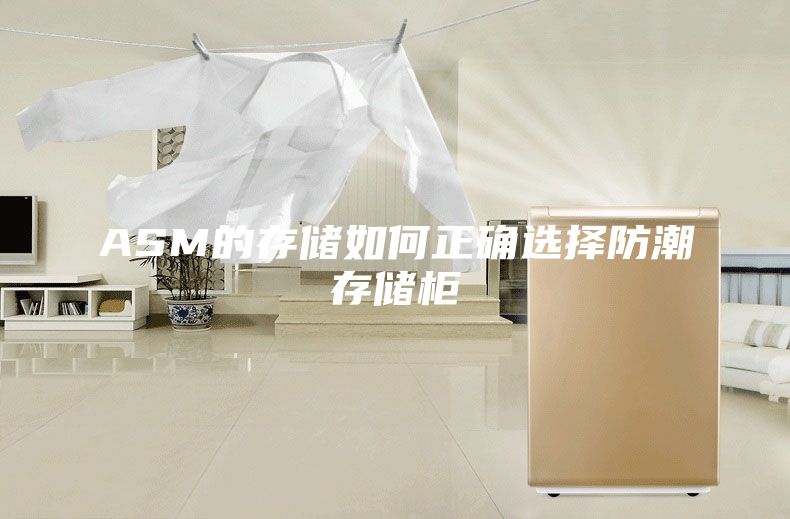 ASM的存储如何正确选择防潮存储柜