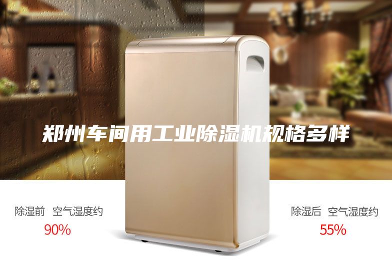 郑州车间用工业除湿机规格多样
