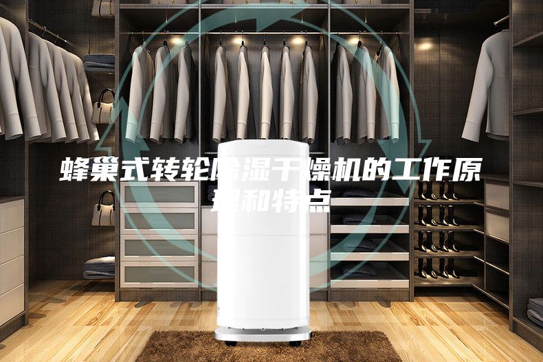 蜂巢式转轮除湿干燥机的工作原理和特点
