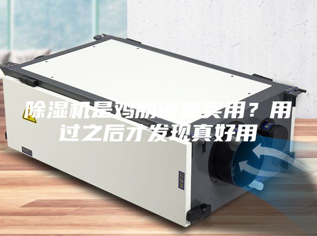 除湿机是鸡肋还是实用？用过之后才发现真好用