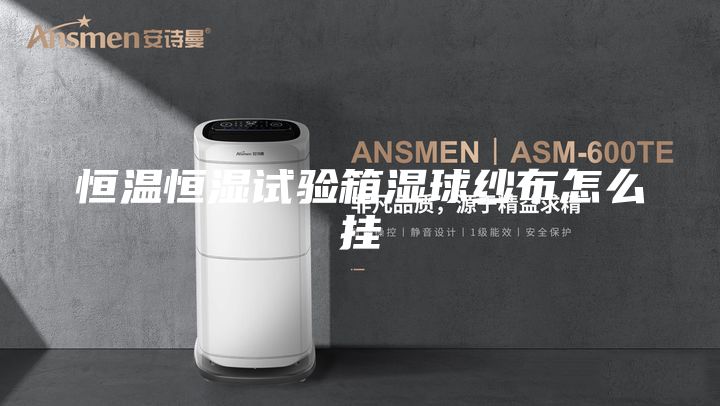 恒温恒湿试验箱湿球纱布怎么挂
