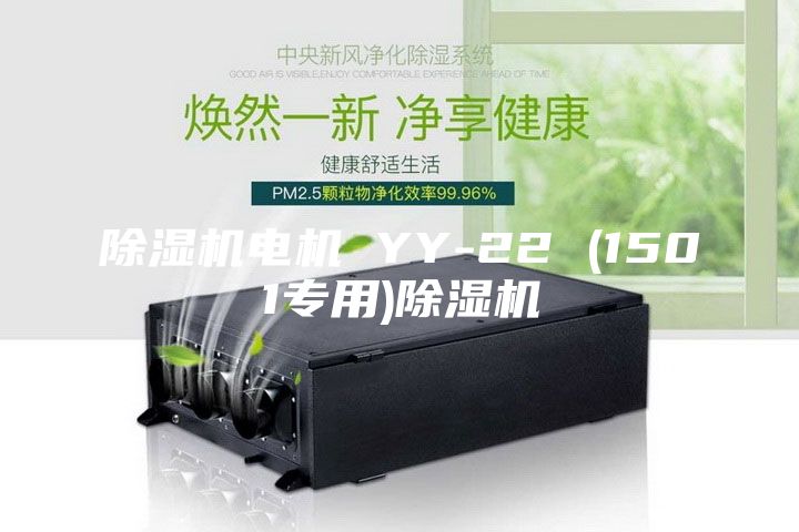 除湿机电机 YY-22 (1501专用)除湿机