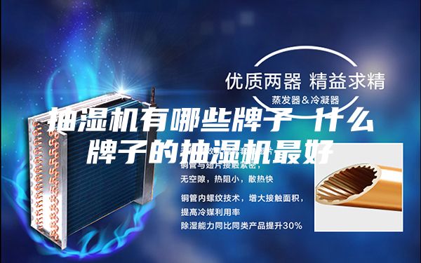 抽湿机有哪些牌子 什么牌子的抽湿机最好