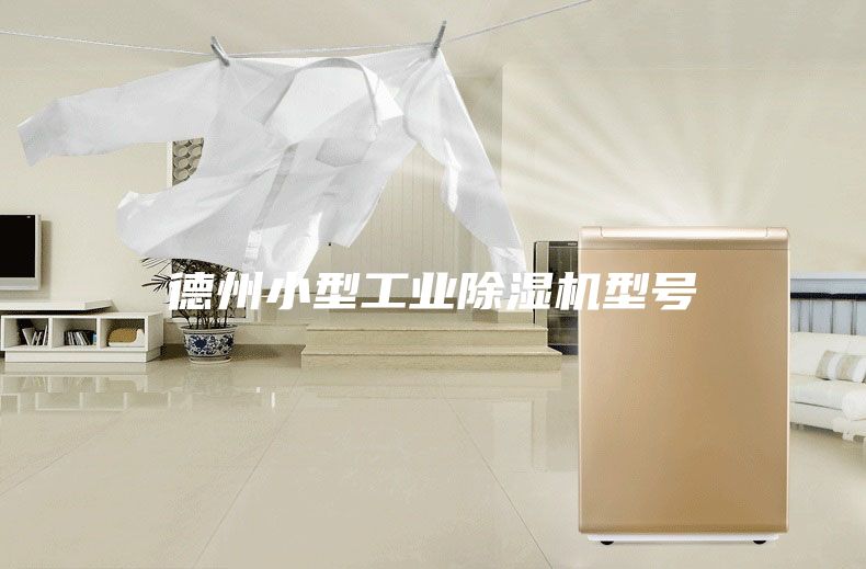 德州小型工业除湿机型号