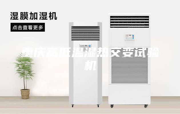 重庆高低温湿热交变试验机