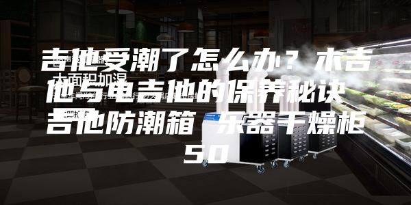 吉他受潮了怎么办？木吉他与电吉他的保养秘诀 吉他防潮箱 乐器干燥柜50