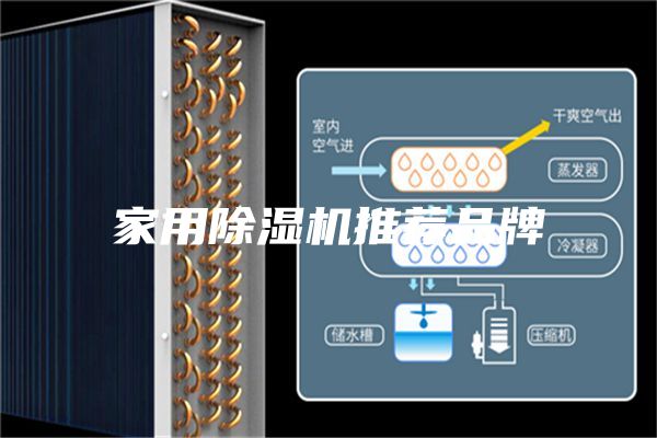 家用除湿机推荐品牌