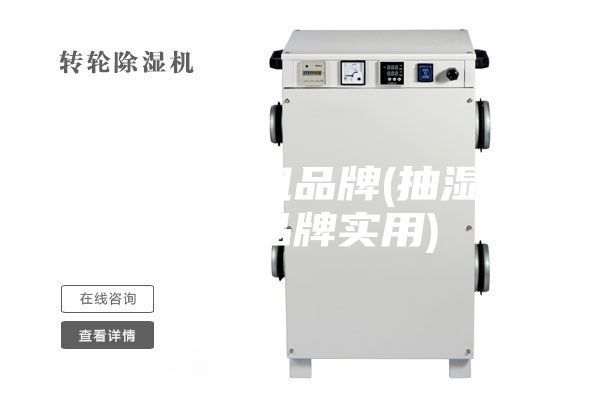 家用抽湿机品牌(抽湿机哪个品牌实用)