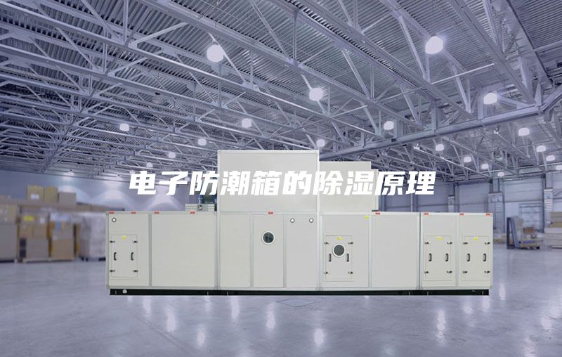 电子防潮箱的除湿原理