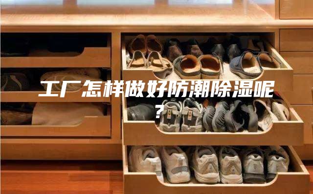 工厂怎样做好防潮除湿呢？