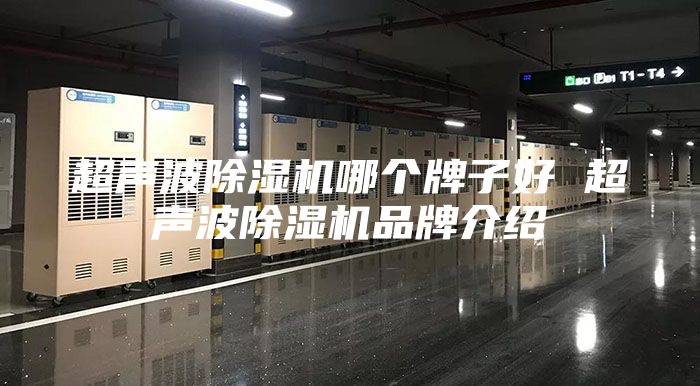 超声波除湿机哪个牌子好 超声波除湿机品牌介绍