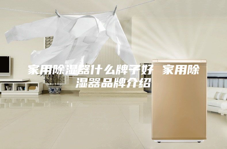 家用除湿器什么牌子好 家用除湿器品牌介绍
