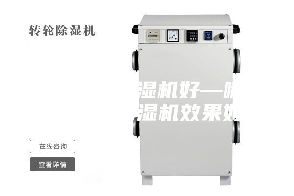 哪个牌子除湿机好—哪个品牌的除湿机效果好