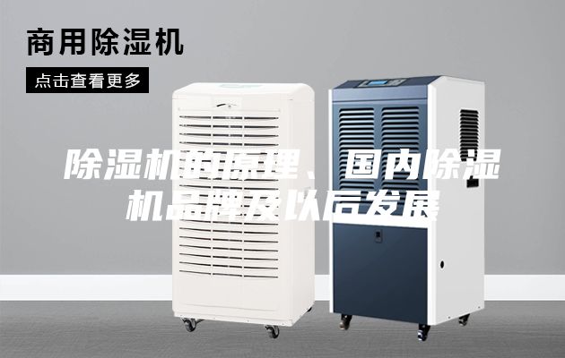 除湿机的原理、国内除湿机品牌及以后发展
