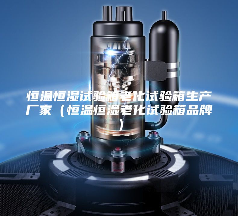 恒温恒湿试验箱老化试验箱生产厂家（恒温恒湿老化试验箱品牌）