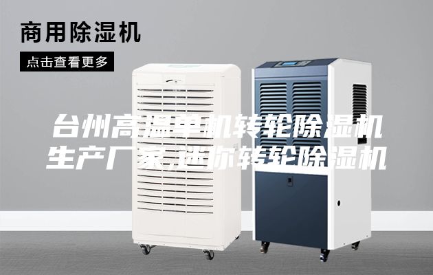 台州高温单机转轮除湿机生产厂家,迷你转轮除湿机