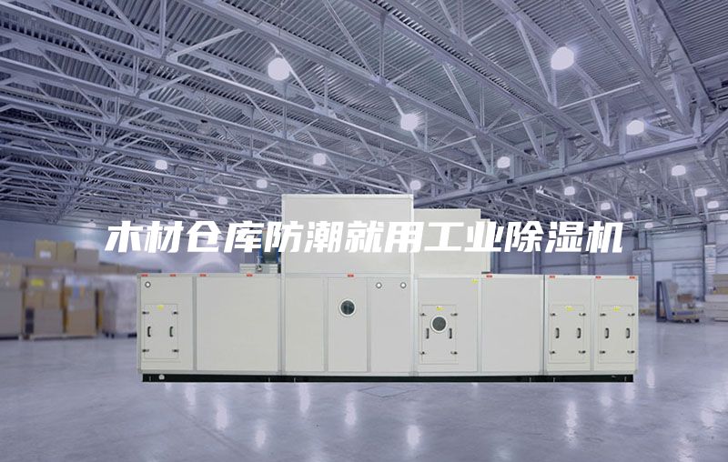 木材仓库防潮就用工业除湿机