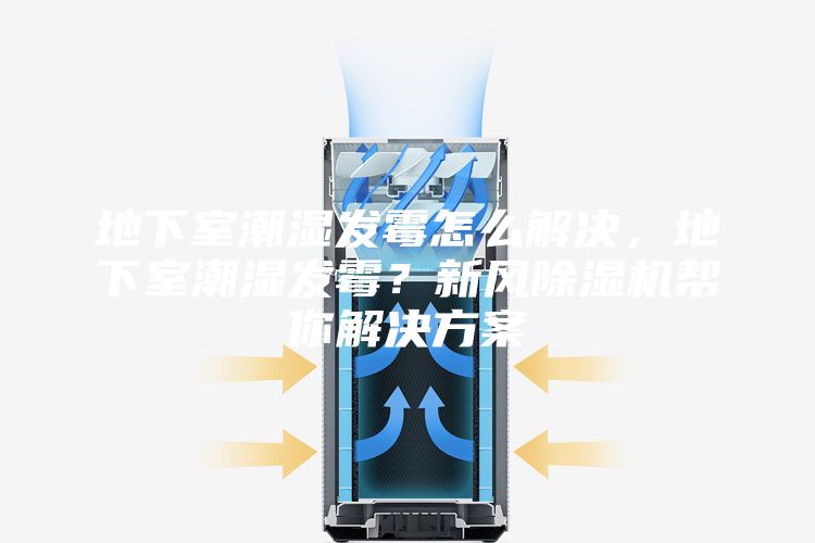 地下室潮湿发霉怎么解决，地下室潮湿发霉？新风除湿机帮你解决方案