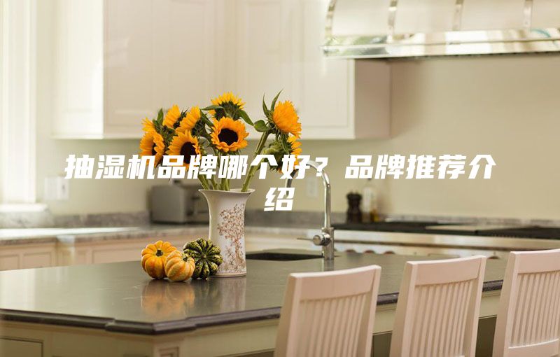 抽湿机品牌哪个好？品牌推荐介绍