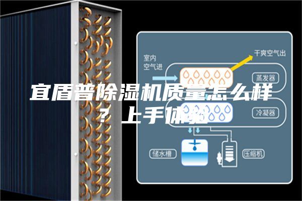 宜盾普除湿机质量怎么样？上手体验