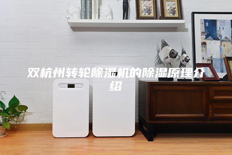 双杭州转轮除湿机的除湿原理介绍
