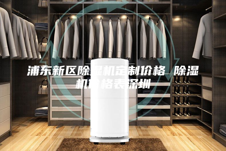 浦东新区除湿机定制价格 除湿机价格表深圳