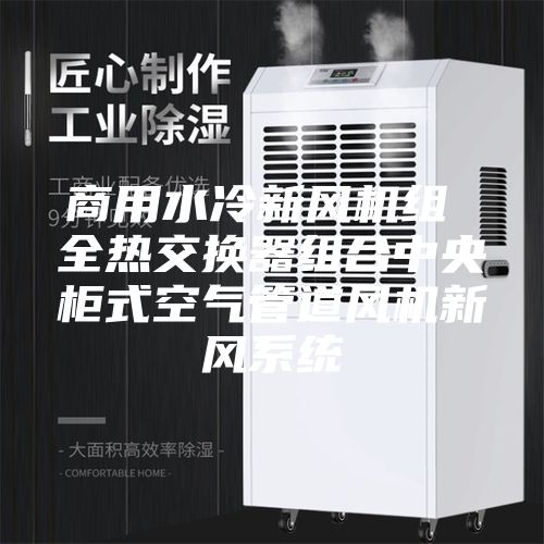 商用水冷新风机组 全热交换器组合中央柜式空气管道风机新风系统