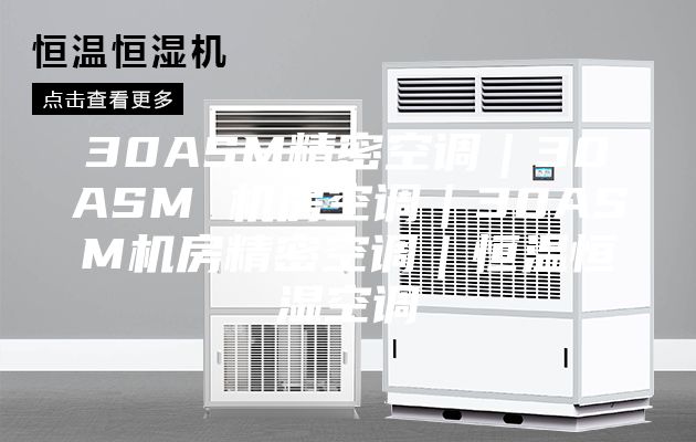 30ASM精密空调｜30ASM 机房空调｜30ASM机房精密空调｜恒温恒湿空调