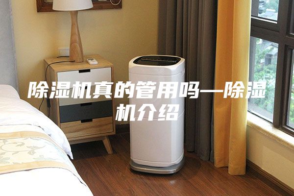 除湿机真的管用吗—除湿机介绍