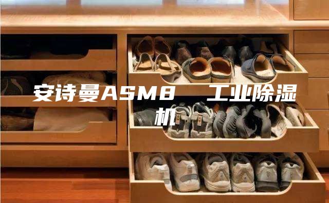安诗曼ASM8  工业除湿机