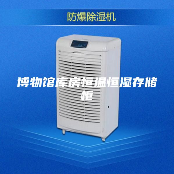 博物馆库房恒温恒湿存储柜