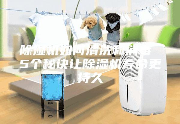 除湿机如何清洗和消毒 5个秘诀让除湿机寿命更持久