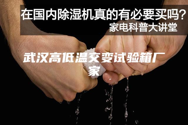 武汉高低温交变试验箱厂家