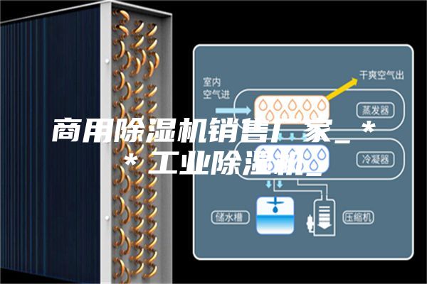 商用除湿机销售厂家_**工业除湿机_