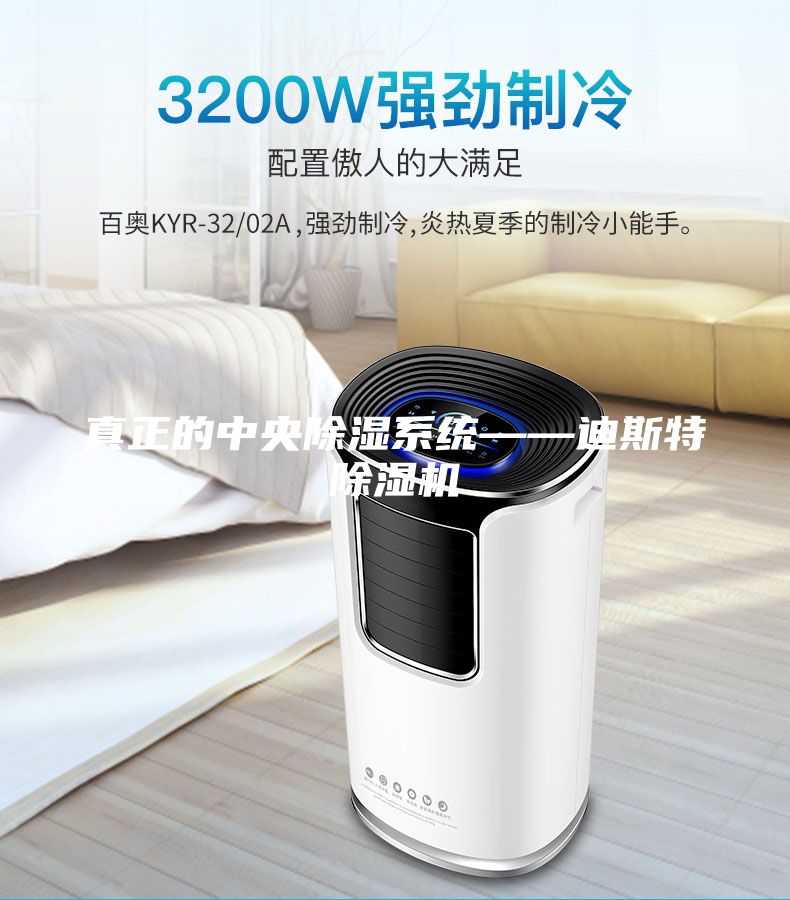 真正的中央除湿系统——迪斯特除湿机